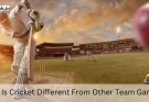 How Is Cricket Different From Other Team Games?